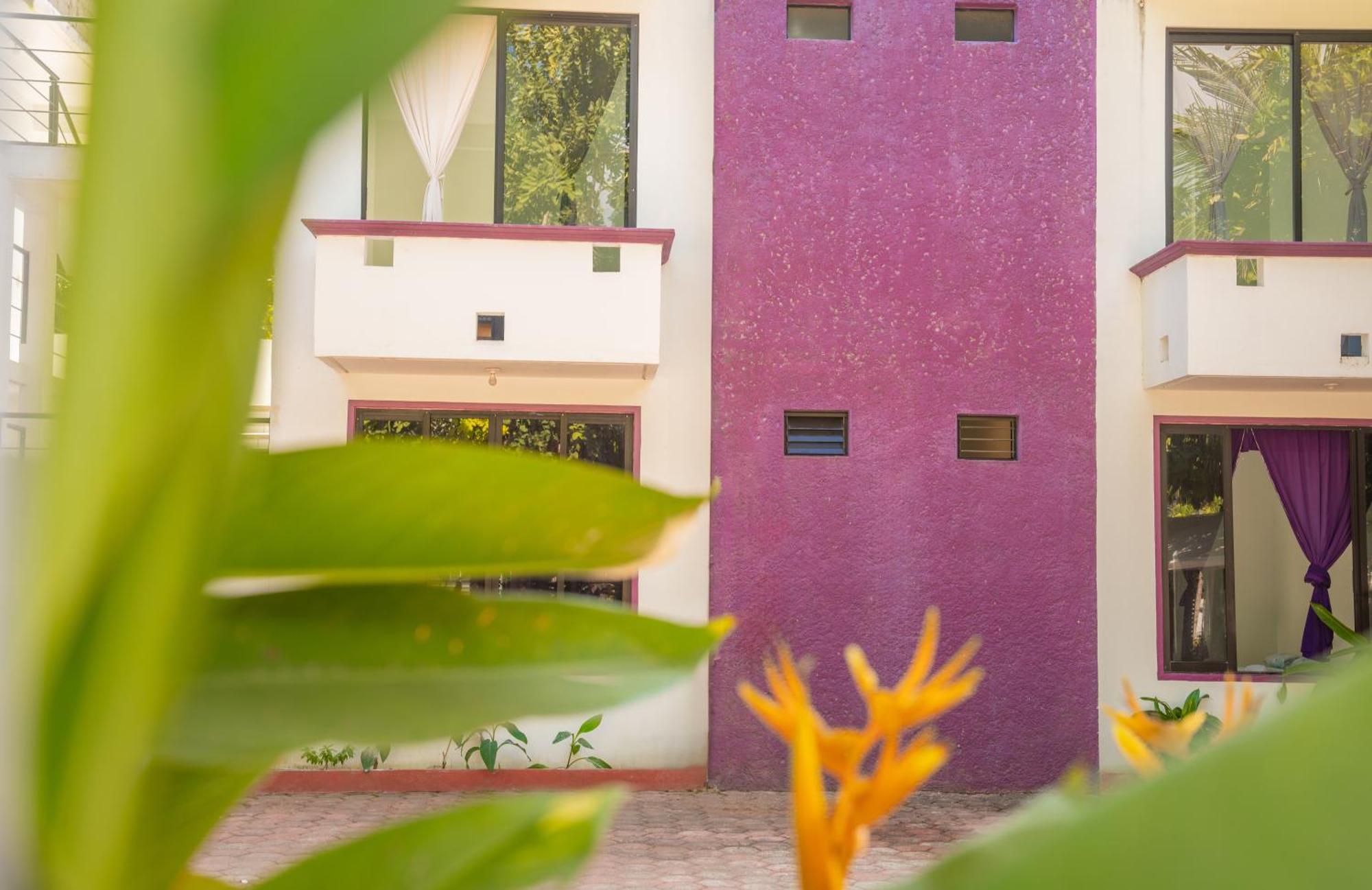 Hotel Palmarito Puerto Escondido  Exterior foto
